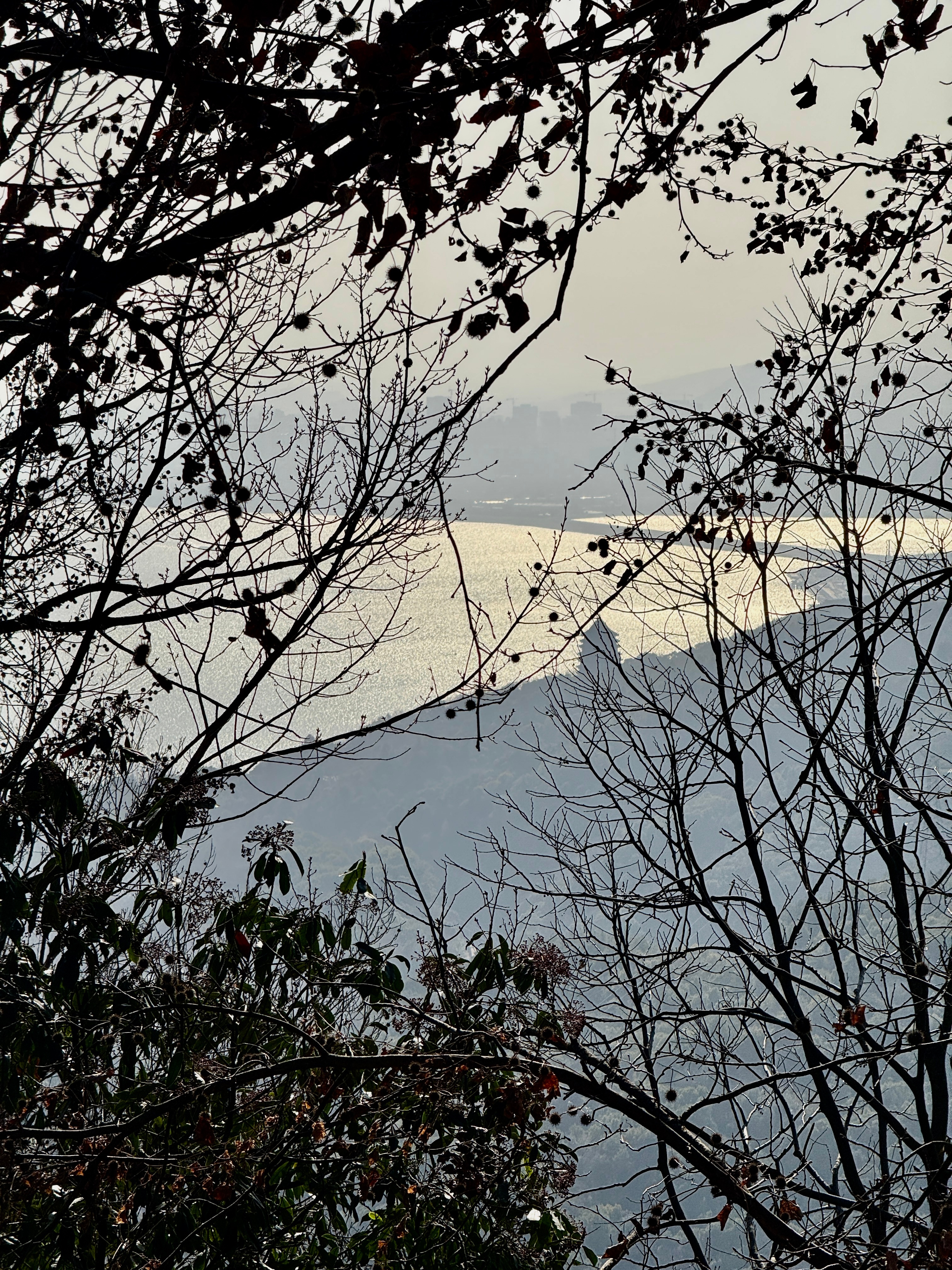 诺大的世界 焕新的身体适配蓬勃的生命力加之旺盛的探索欲和购买欲和食欲！ 