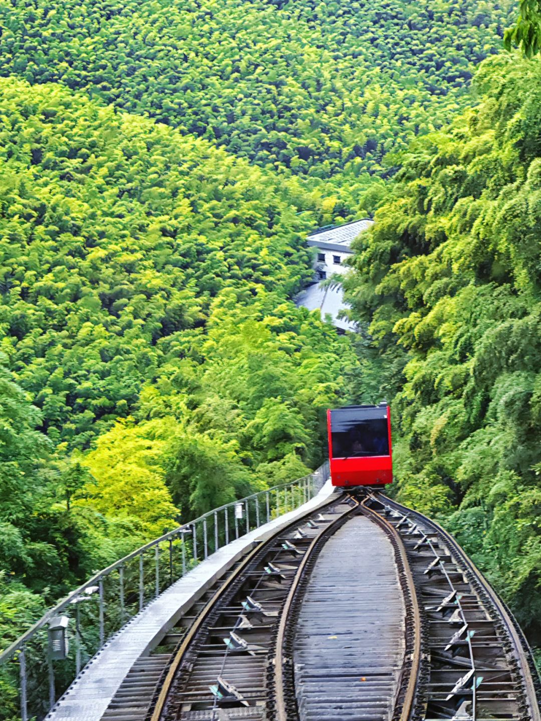 人生建议：国庆节一定来趟南山竹海‼️