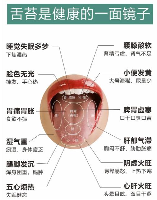 肝出问题，舌头上会出现5种信号，快看看你是哪一个？

▶1，舌体偏薄，瘦，整个舌