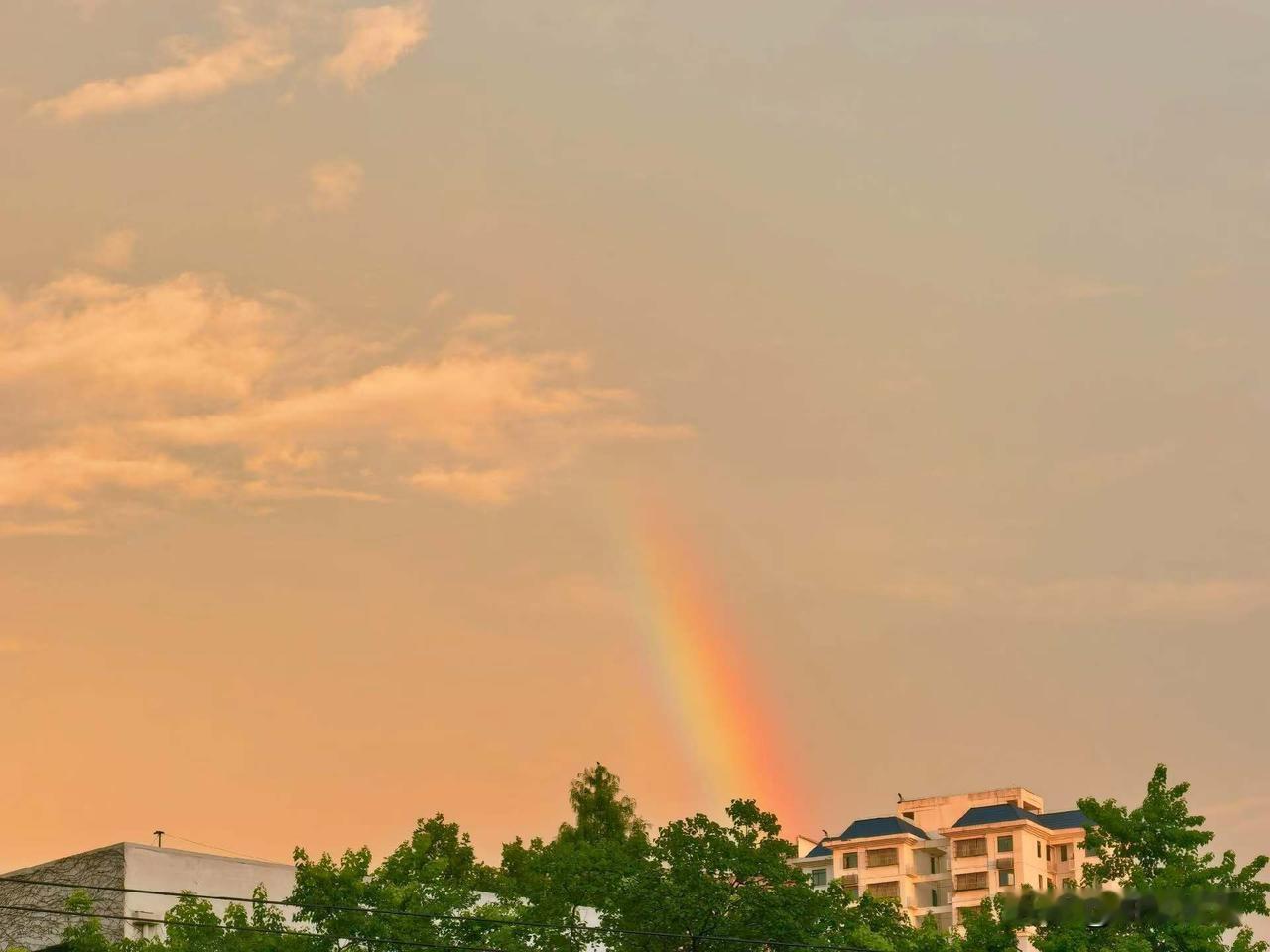 武汉的你今天看到彩虹了吗？

一场大雨过后，今天傍晚武汉的天空出现了美丽的彩虹，