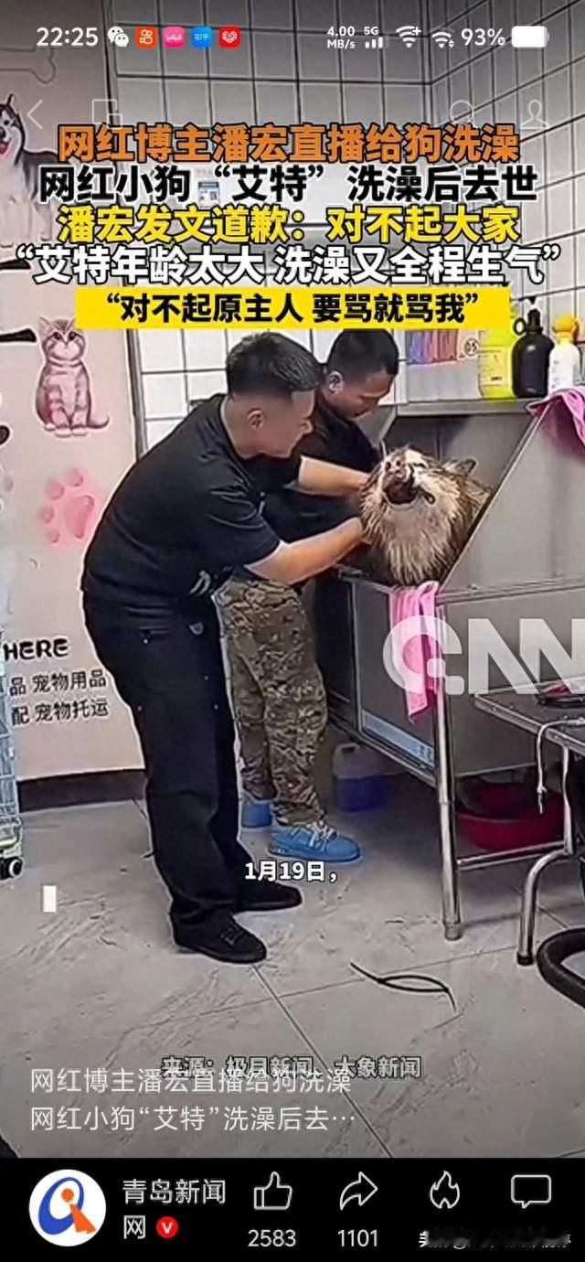 网红训狗师潘宏终审败诉，钱赔了道歉却迟迟不兑现