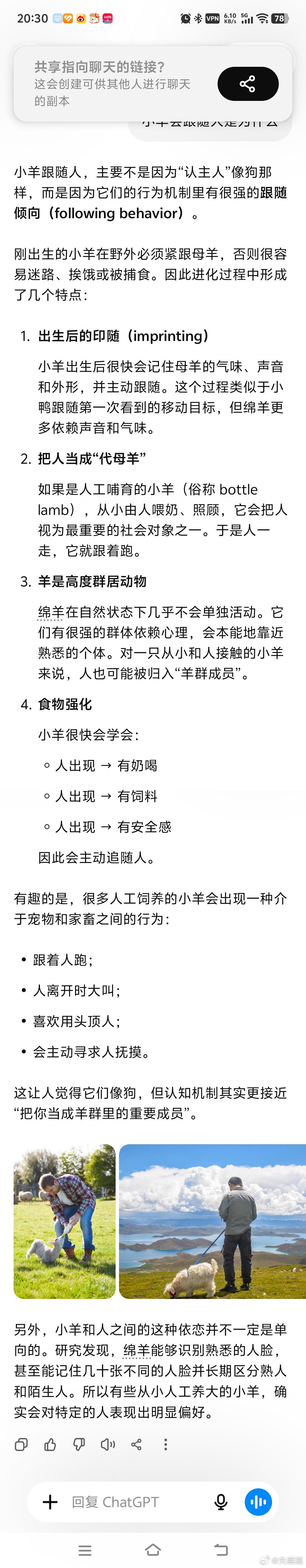 看到超黏人小羊的视频。问了下AI，原来羊的跟随行为是神经系统底层代码，好像很容易