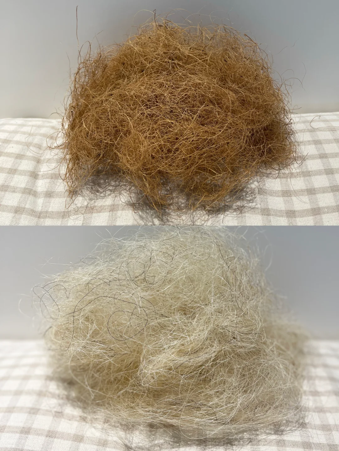 猜猜这是什么？