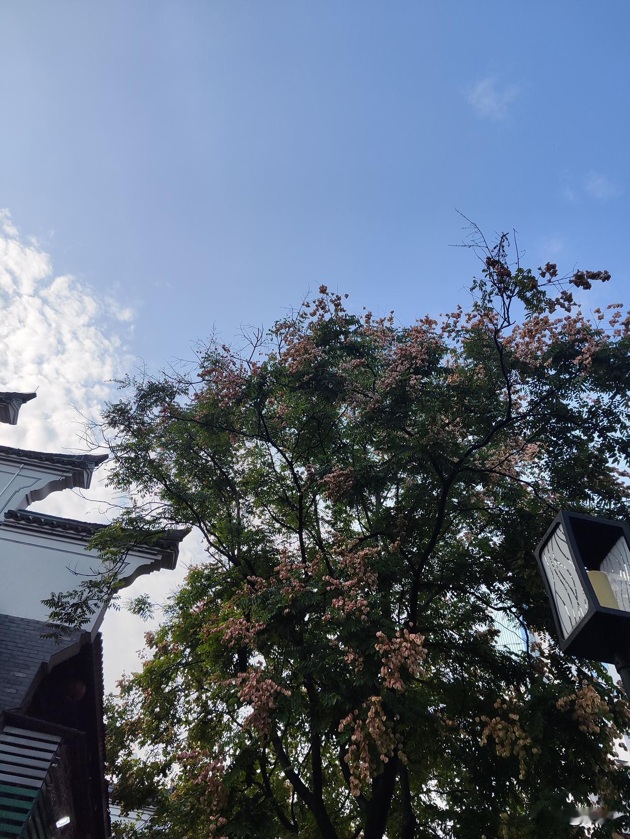 阳光灿烂，出发去玩！