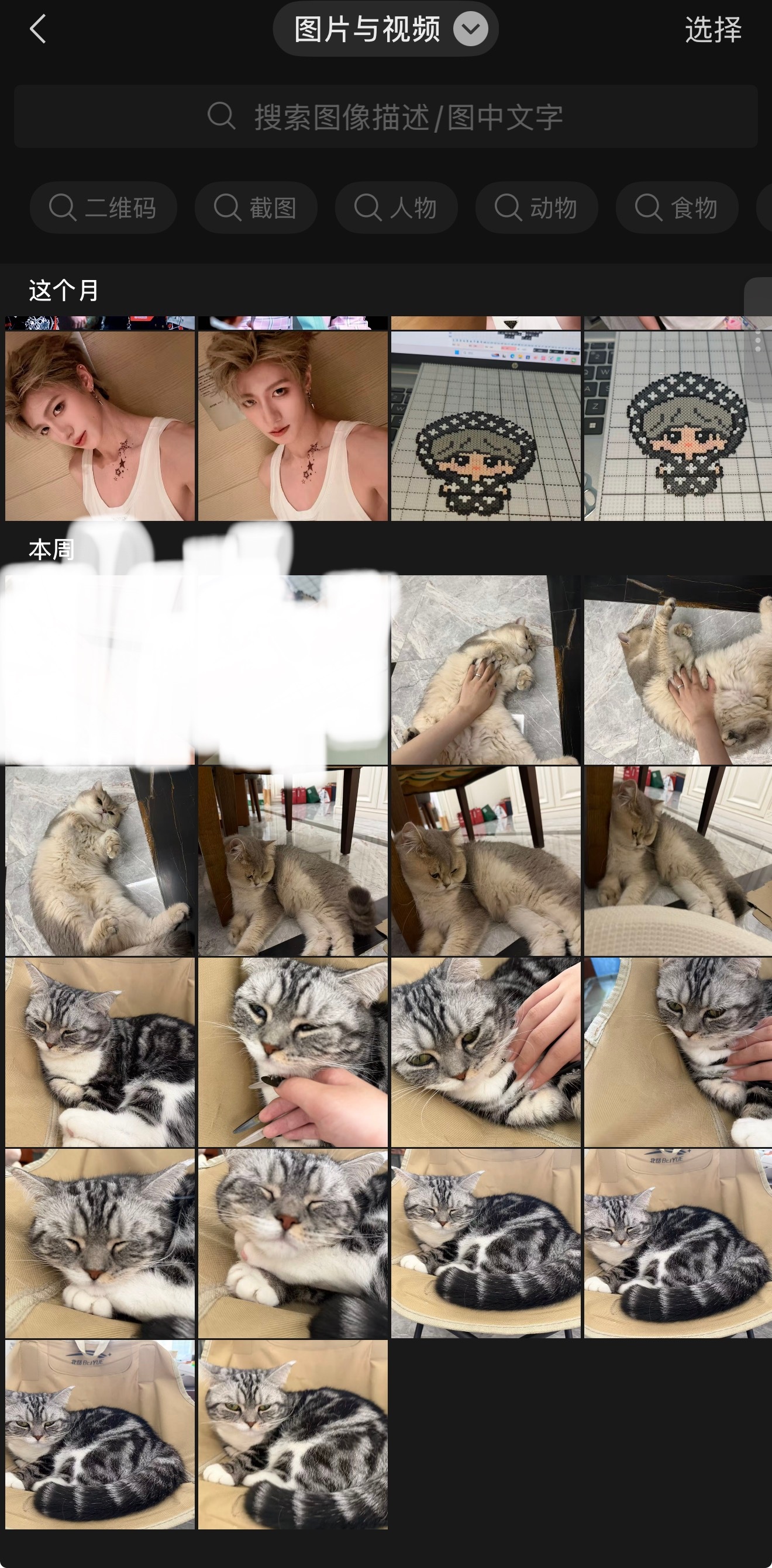 左航未必有我爱发猫 