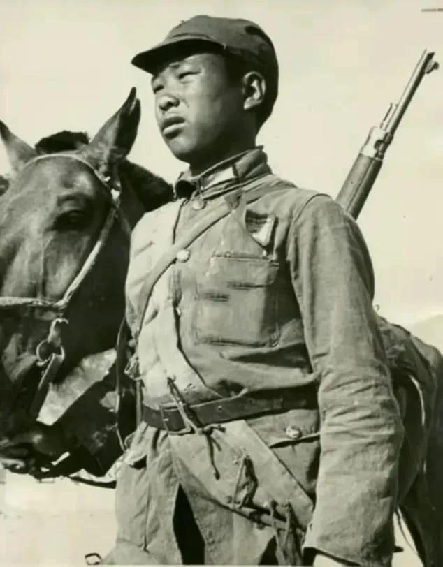 1939年，15岁的李成二送情报途中，遇到两只饿狼。然而，他刚躲到树上，一队日本