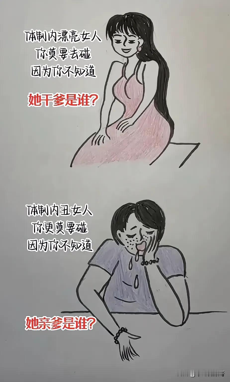 发现体制内的女人真不能乱追求