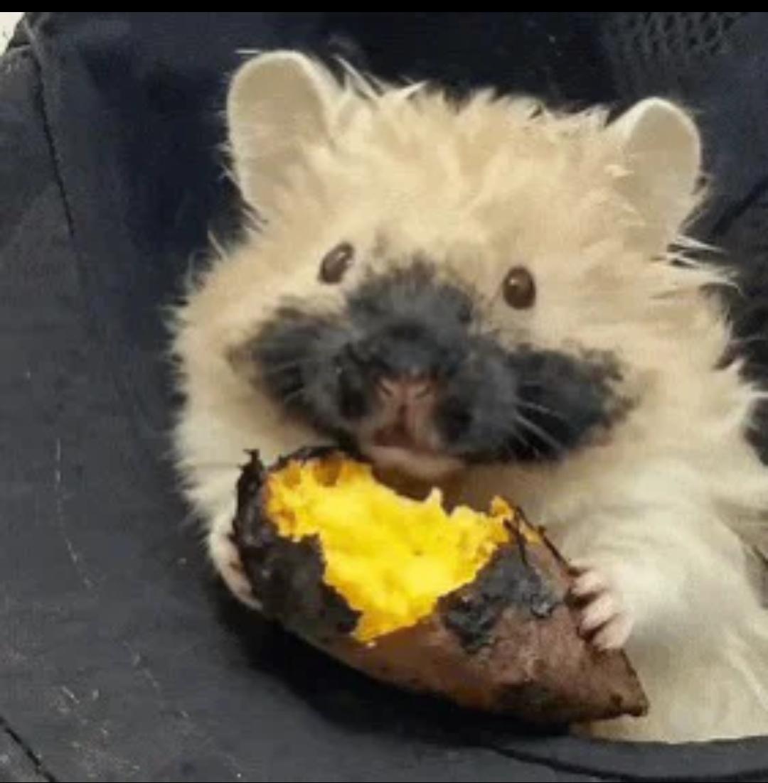 人类濒死状态啥感觉？我经历过两次，第一次大约是六岁，去池塘边玩水结果一头倒栽葱扎