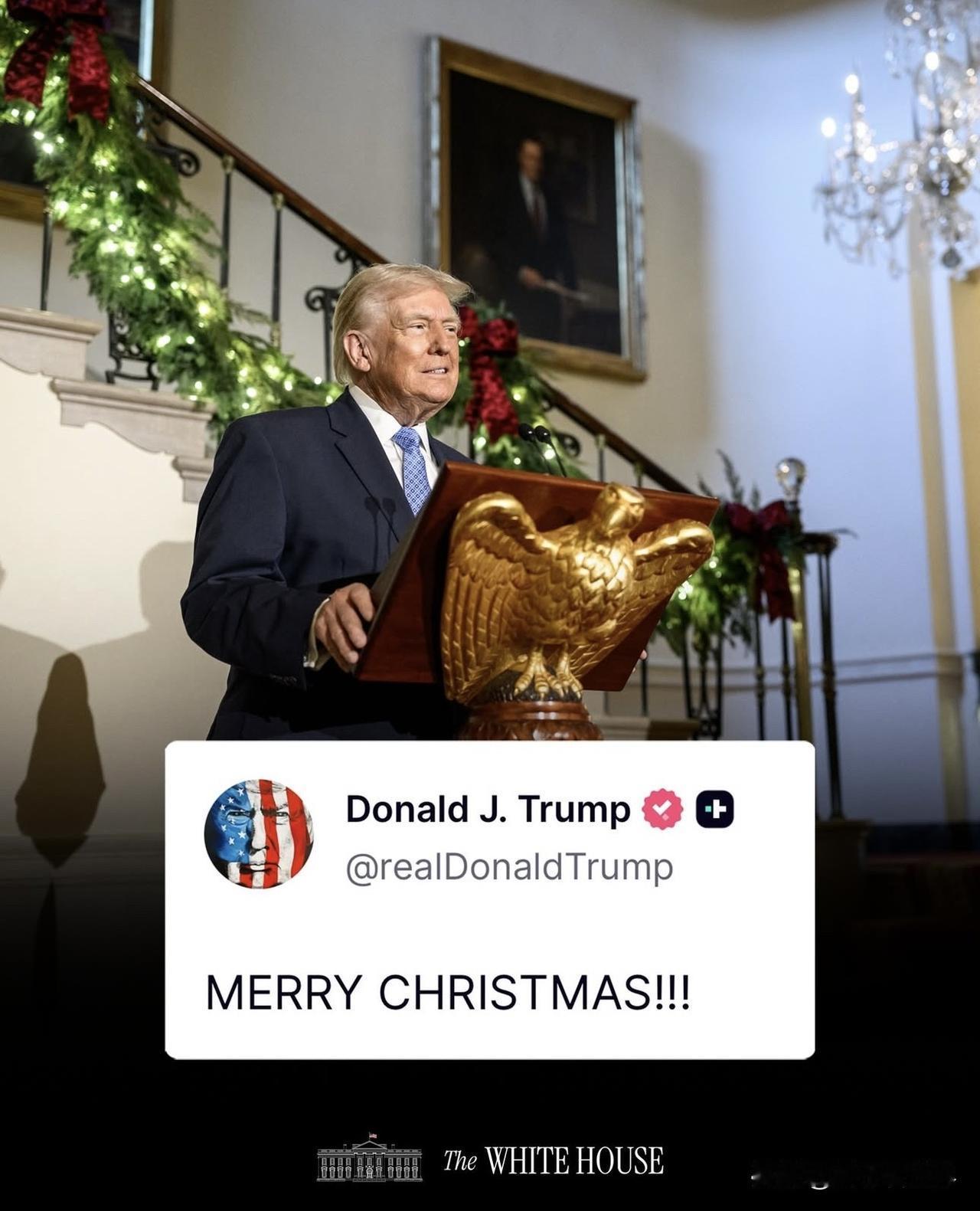 Merry Christmas Eve!🎄🤶🎉