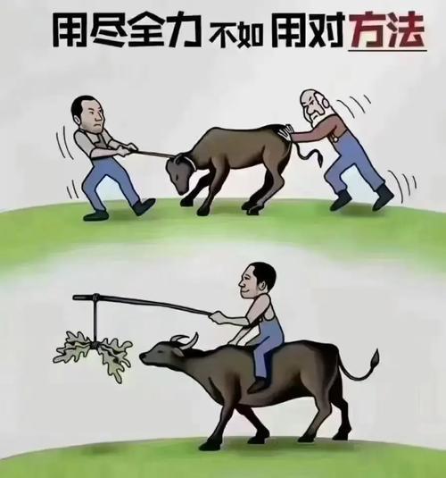 努力和方法哪个重要？
       二者如同鸟之两翼，缺一不可。只靠努力而无方法