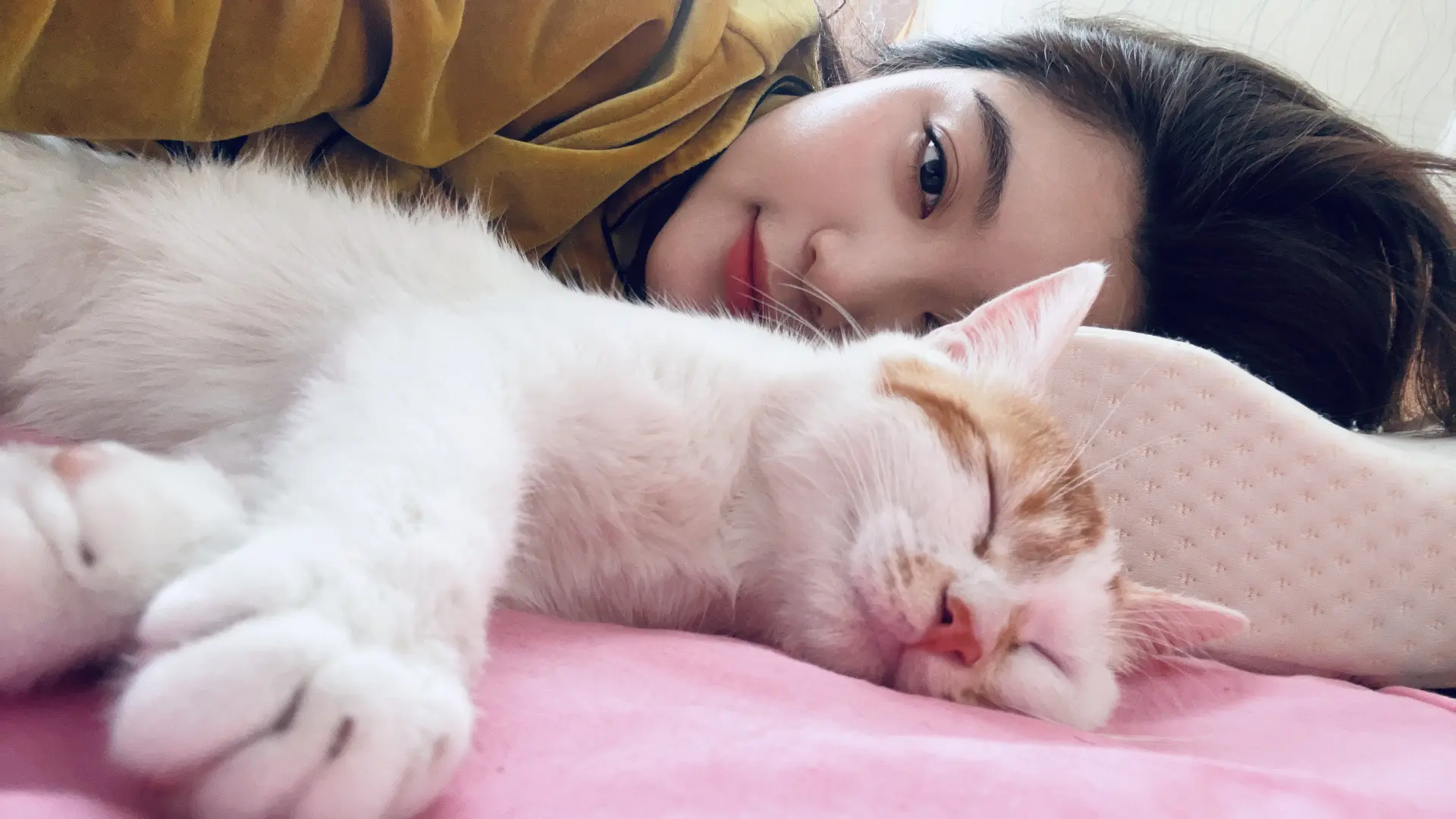 我和我的猫