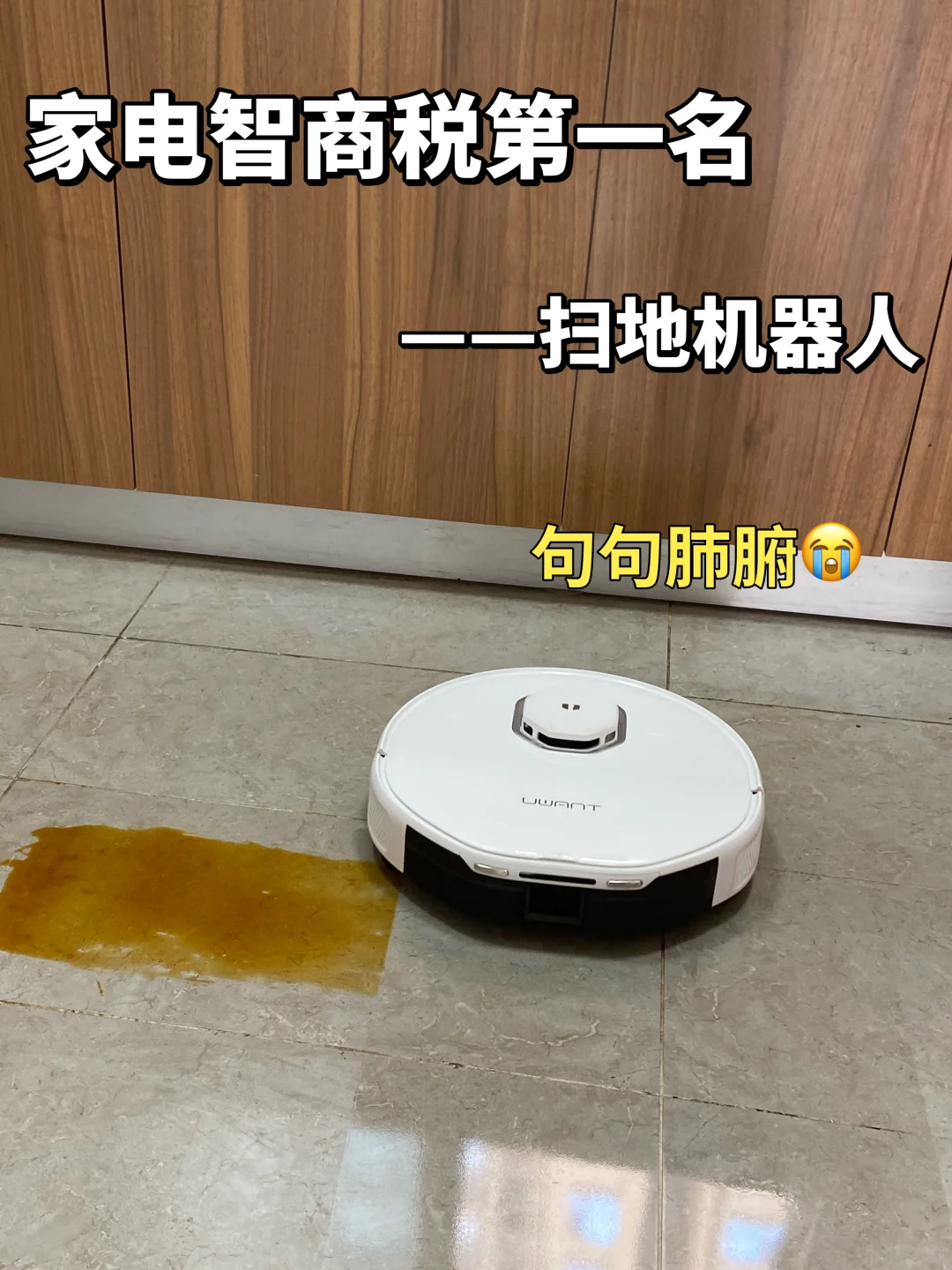 句句肺腑❗️给双11买扫地机器人的一些忠告