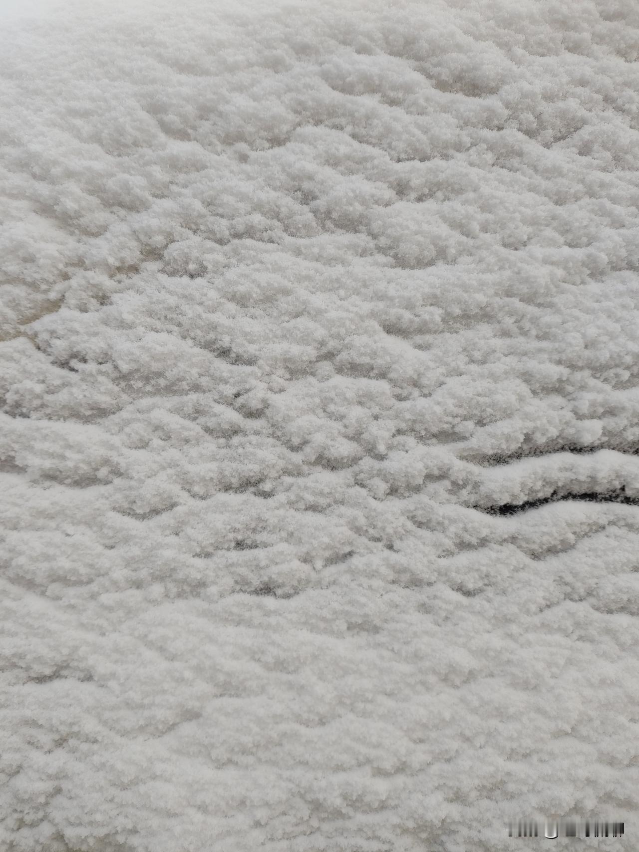 玉海园社区挺老吧，过去那边似乎有百万庄饭馆