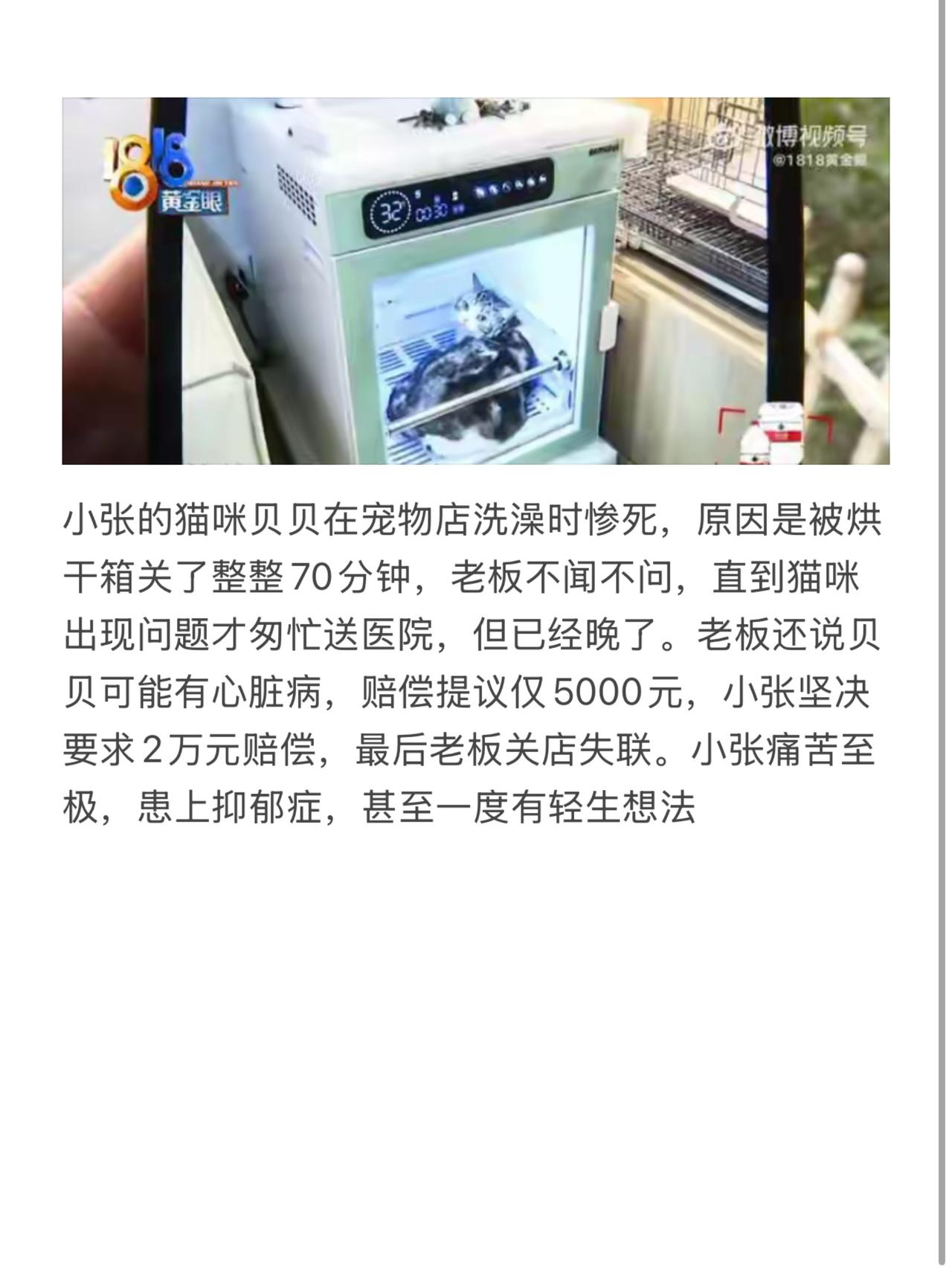 小张的猫咪贝贝在宠物店洗澡时惨死，原因是被烘干箱关了整整70分钟，老板不闻不问，