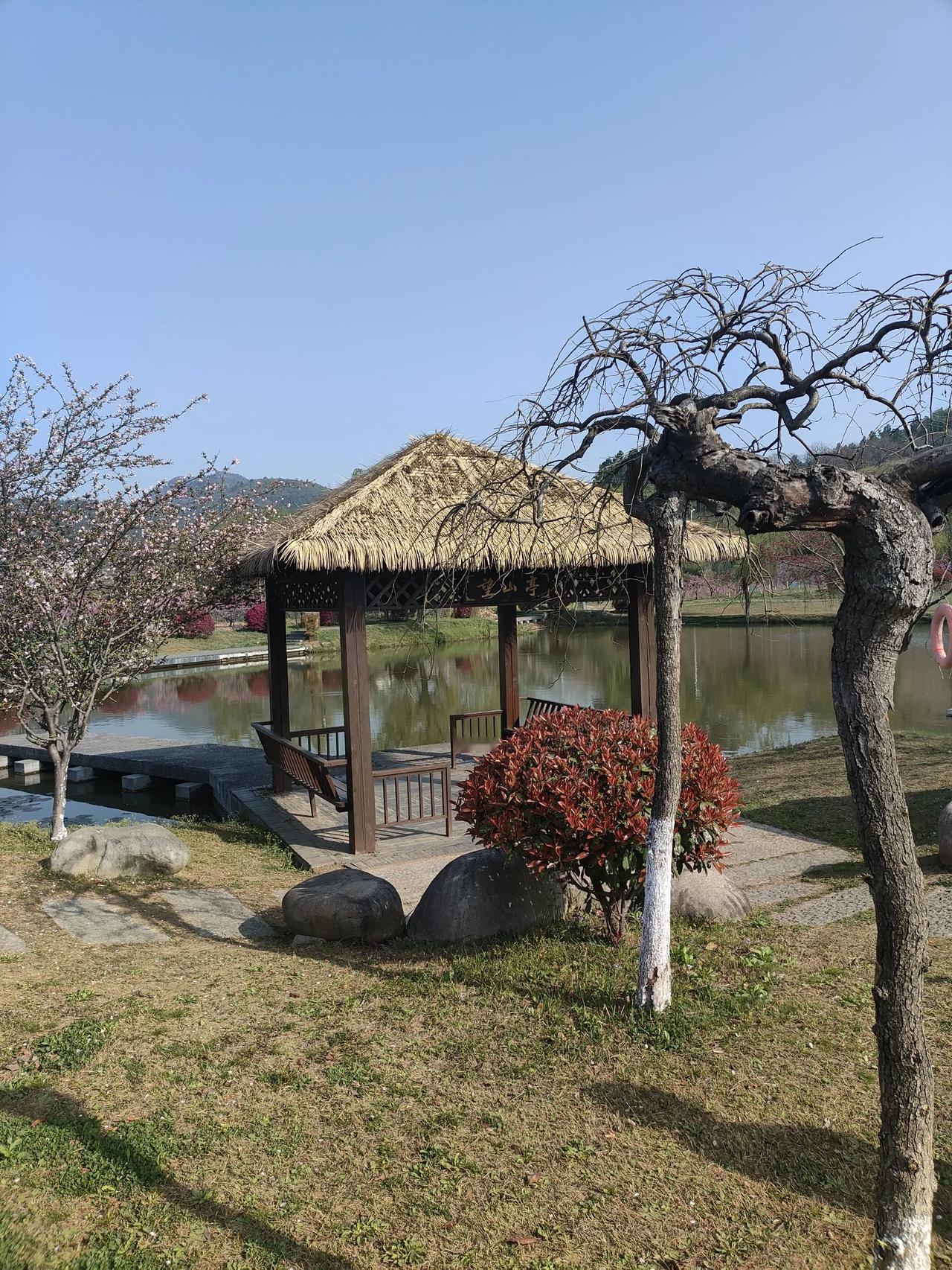 春日生活打卡季昨天跨上了春游的旅途，一路上兴致勃勃，到了地点眼界大开，万物生机农