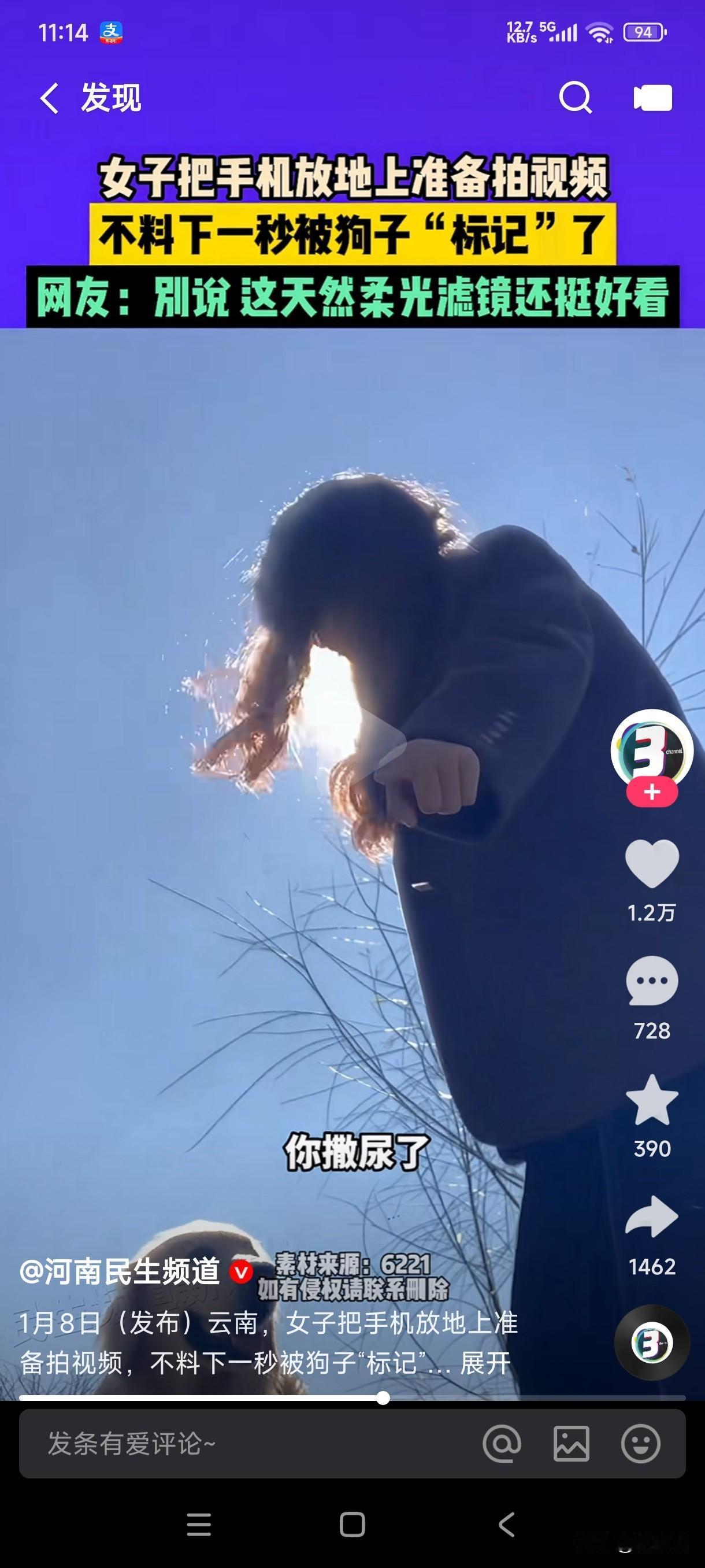 真是让人笑不活了，女子把手机放地上准备拍视频，下一秒转身发现狗子尿手机上了，这手