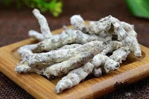 中医2味药，散结胜过“手术刀”？给大家分享两味药，散结效果胜过“手术刀”！这个方