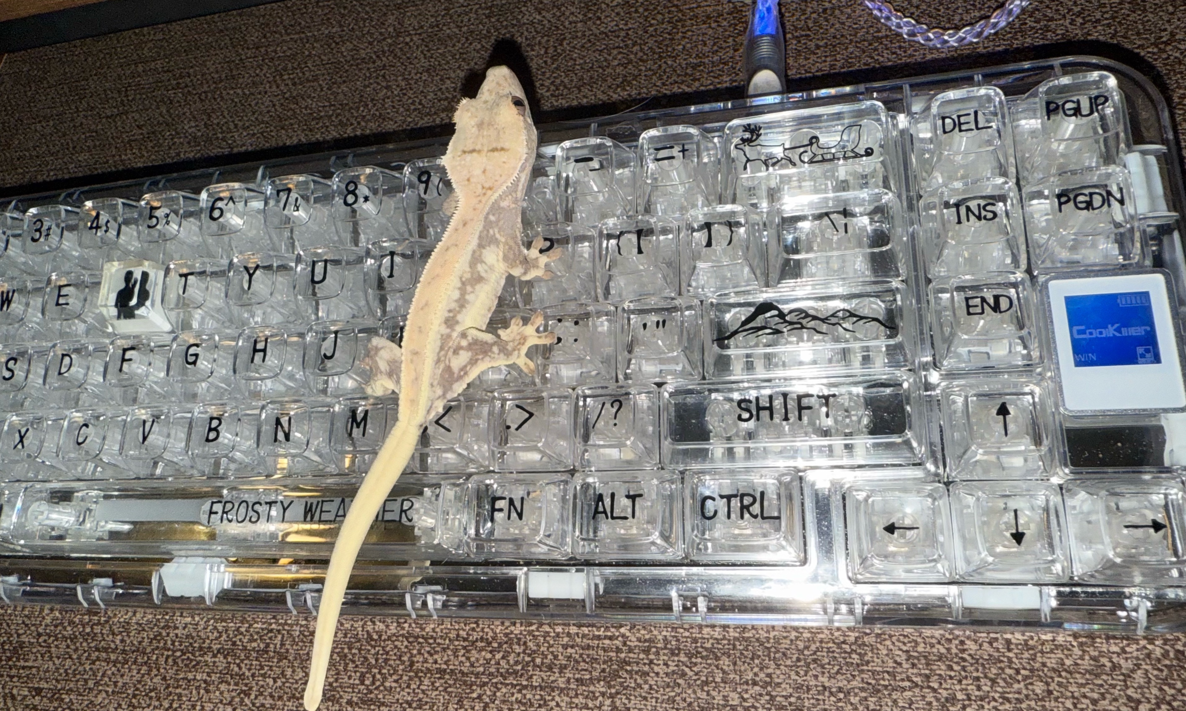 这次更新由利利完成 