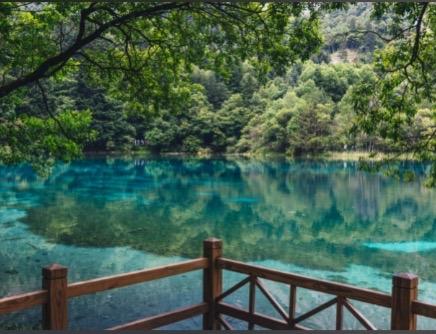 2025年国庆节火爆的旅游景点:
‌1.九寨沟‌：秋季彩林与海子相映，新开放熊猫