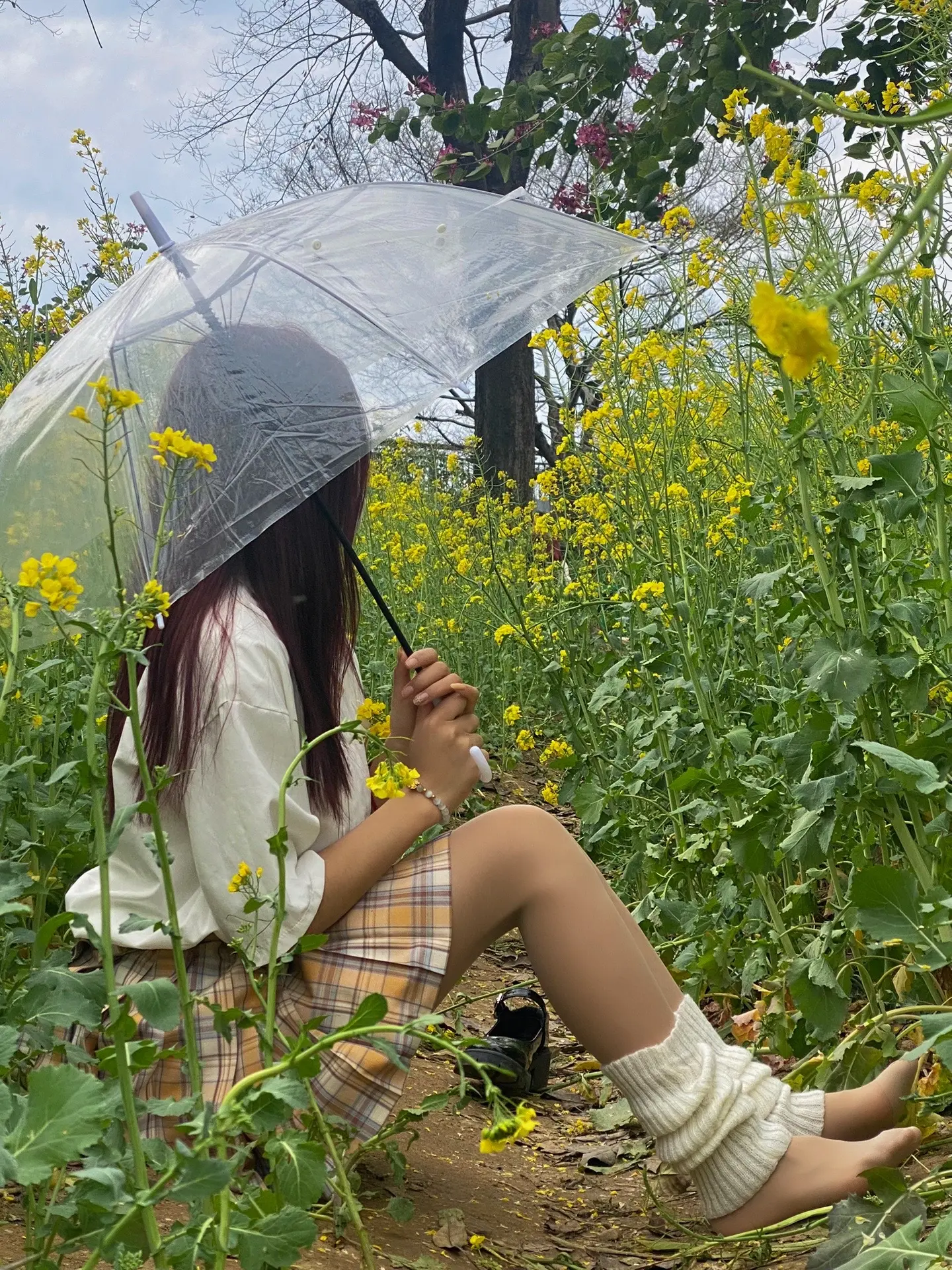 四月的第一天 祝你成为人间最美的四月天.