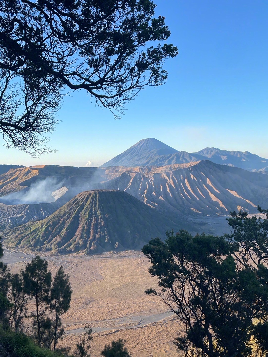 书读不进去是因为没找对地方突然发现高中不愿意读的书，换一个环境突然就变得很有阅读
