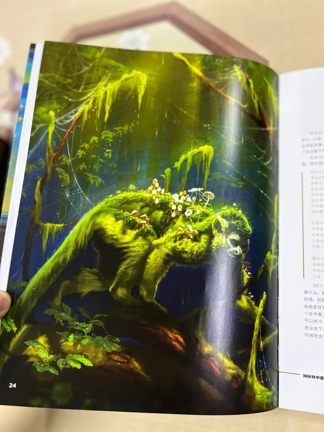 一本精美绝伦的书