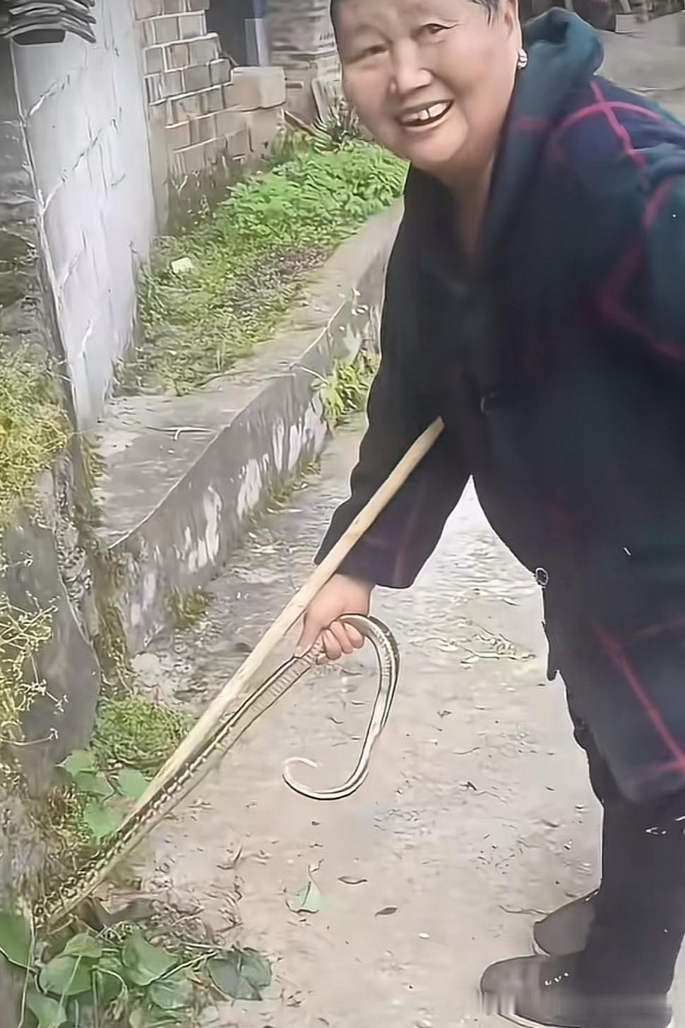 真佩服大妈的胆量，竟敢这样和蛇玩！

我最怕蛇了，看的我一身冷汗！

我记得堂妹