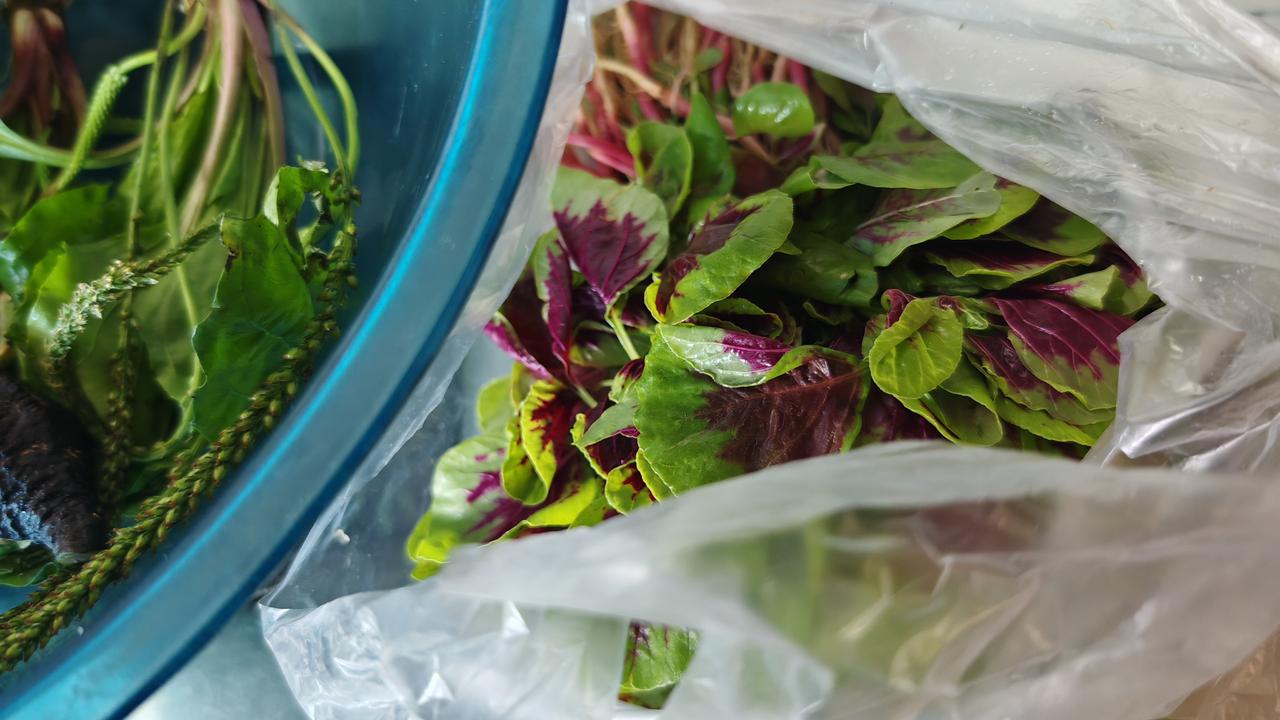 今日在某人朋友圈上目睹一位自诩为灵魂觉醒者发布的动态，其内容暗含对他人生活方式的