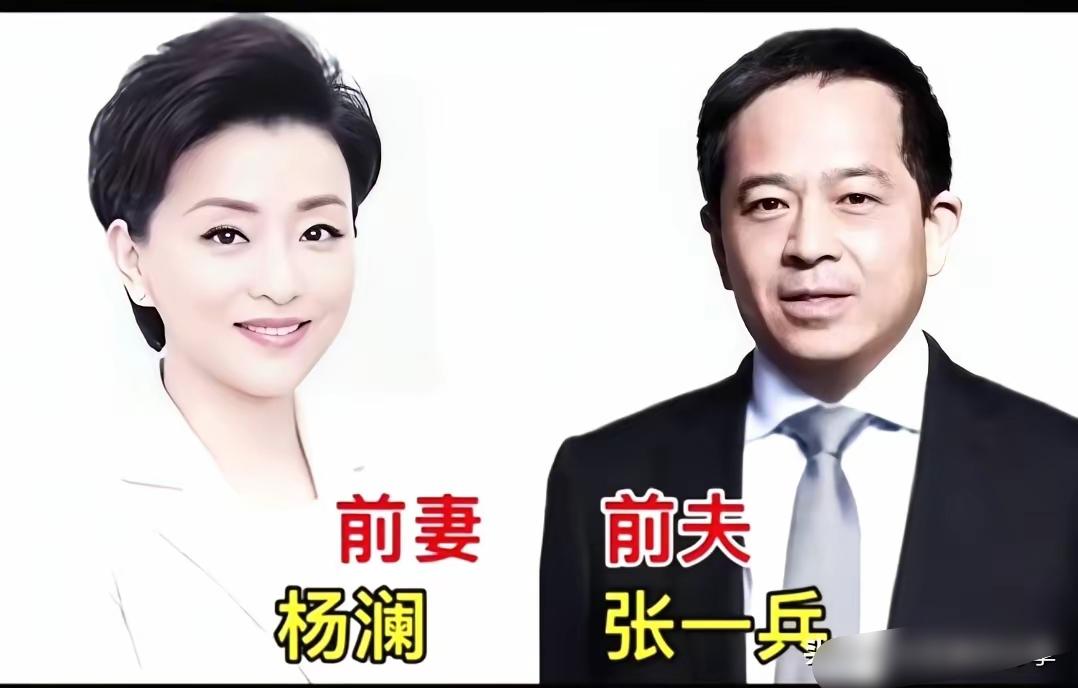 杨澜张一兵、王力宏李靓蕾、李亚鹏王菲，三对曾经相伴的伴侣，他们都曾奔赴彼此，共度