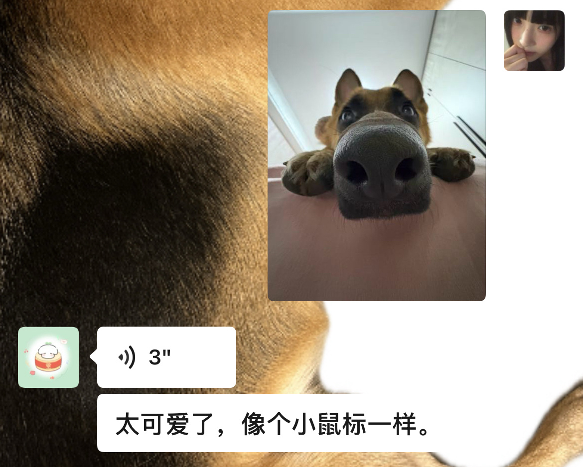 当你把一张图同时发给两个人 