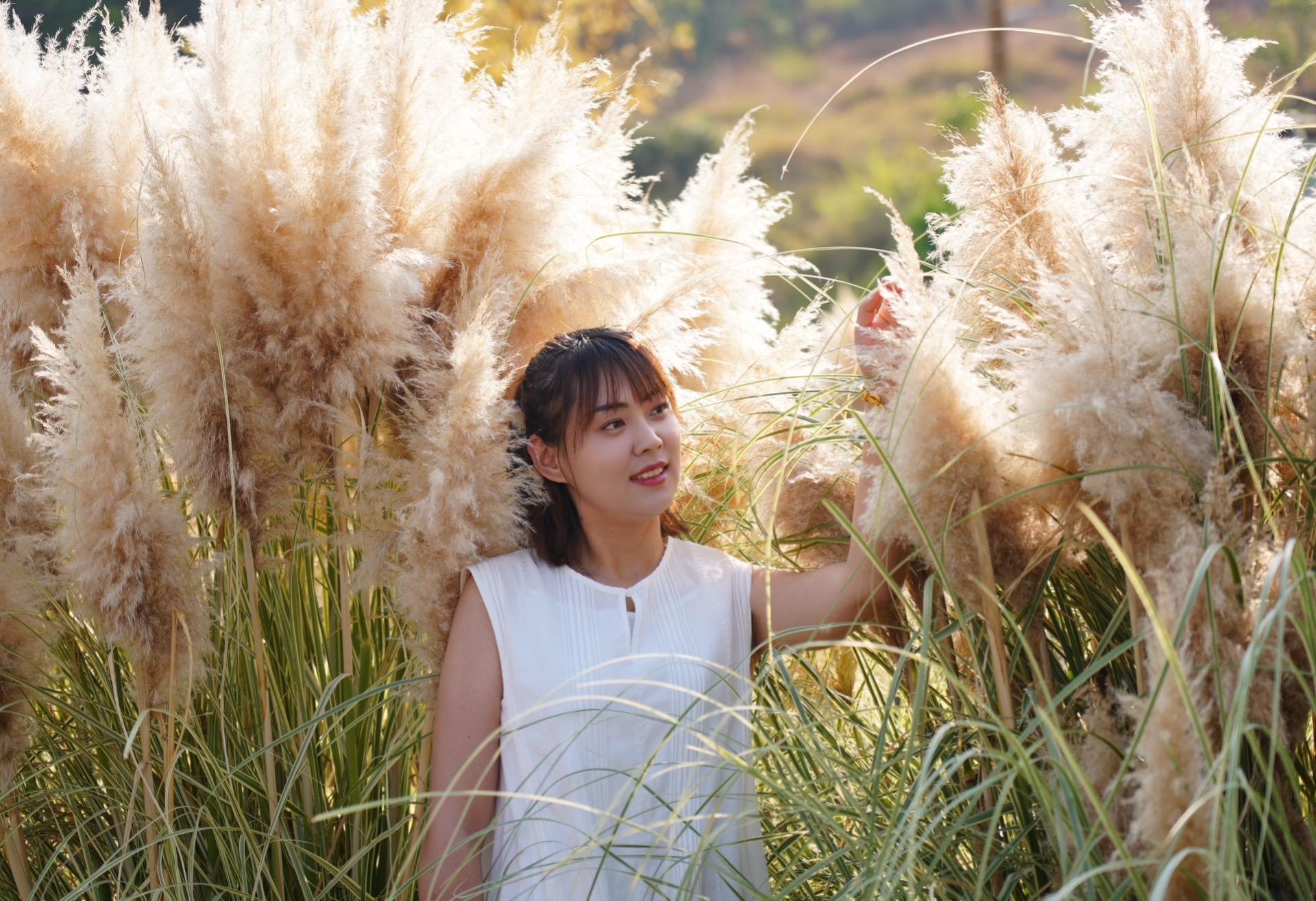 它就是《琵琶行》里的荻花呀。