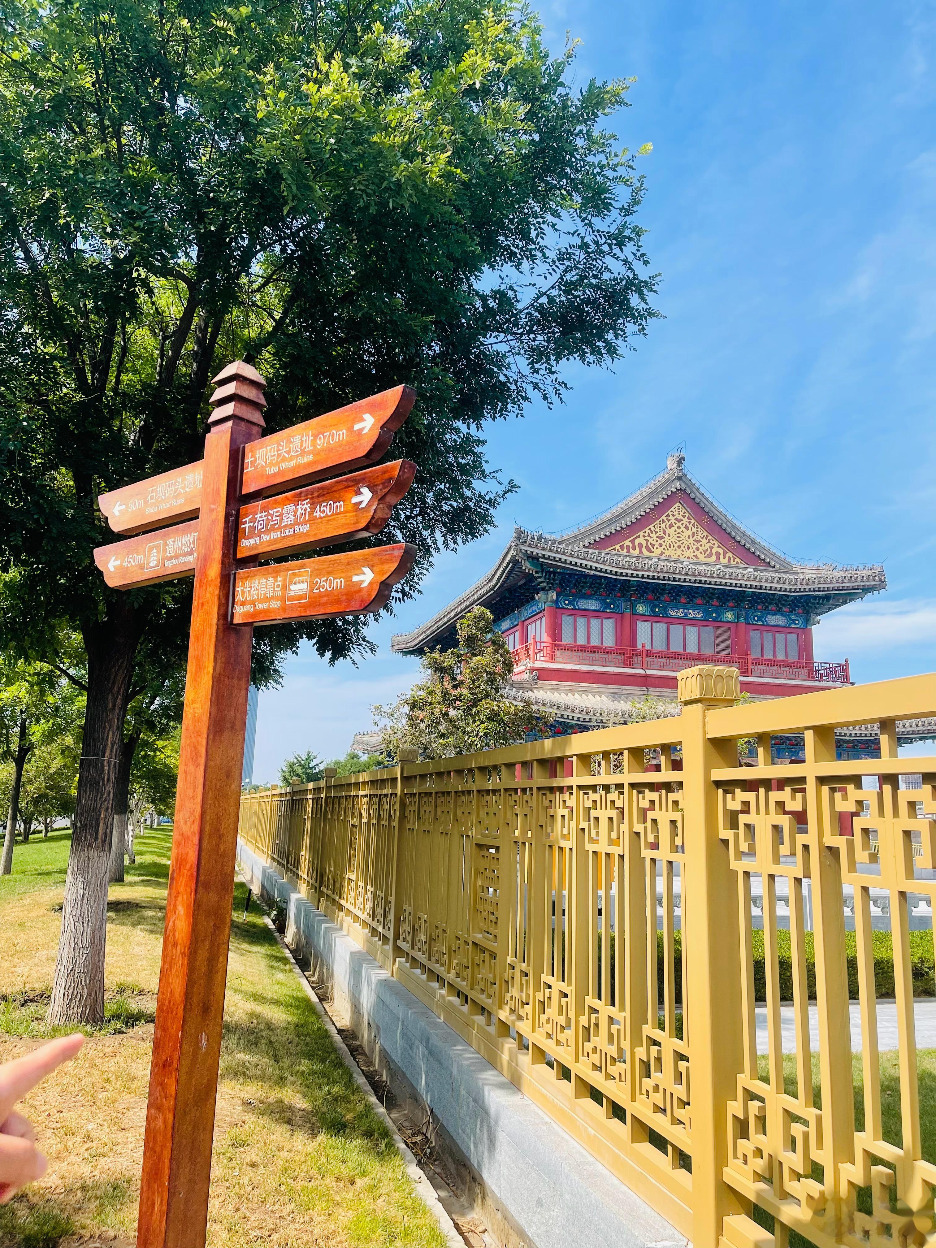 秋高气爽，泛舟运河，白鹭于飞，太放松心情了。#沅汰博物馆#  ​​​