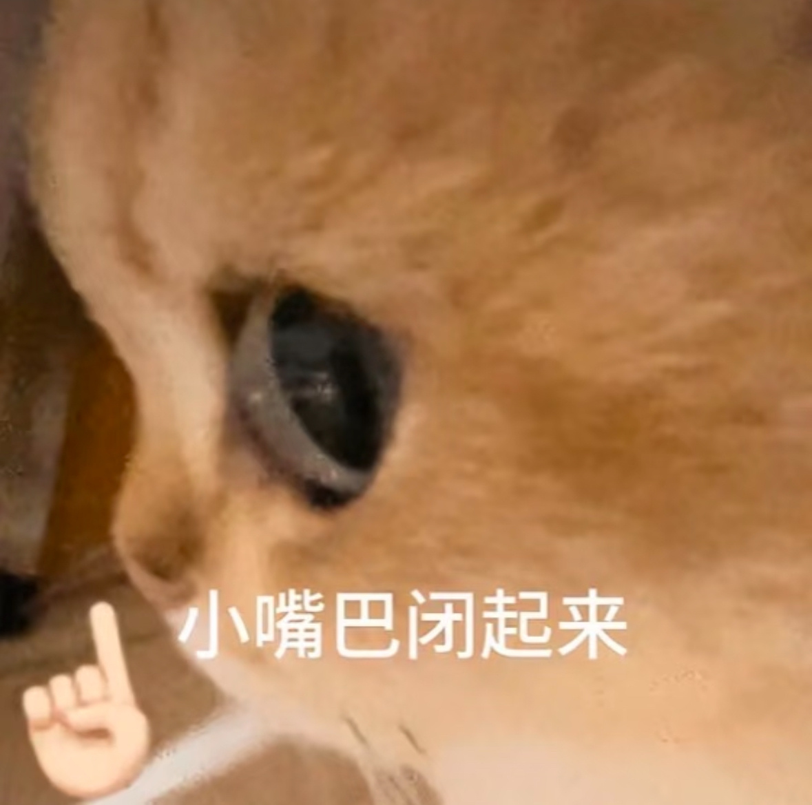 求你们了 不许再说了🤐 