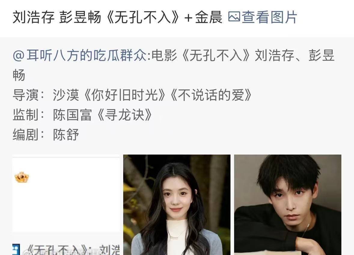 无孔不入阵容电影无孔不入阵容刘浩存彭昱畅➕金晨