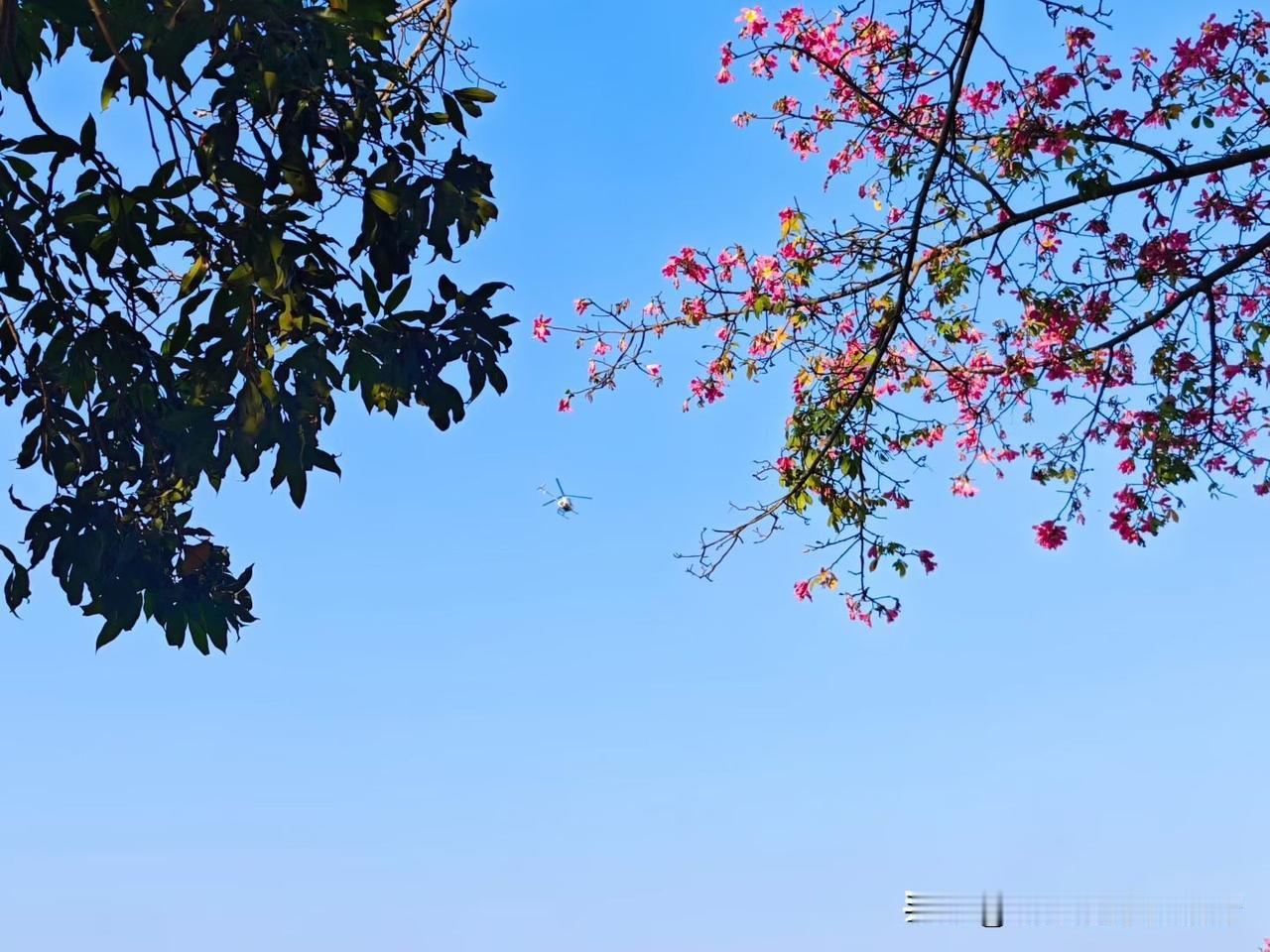 38岁，是该好好考虑了
你的余额多少
你还有多少价值
你的健康状况如何
你还想工