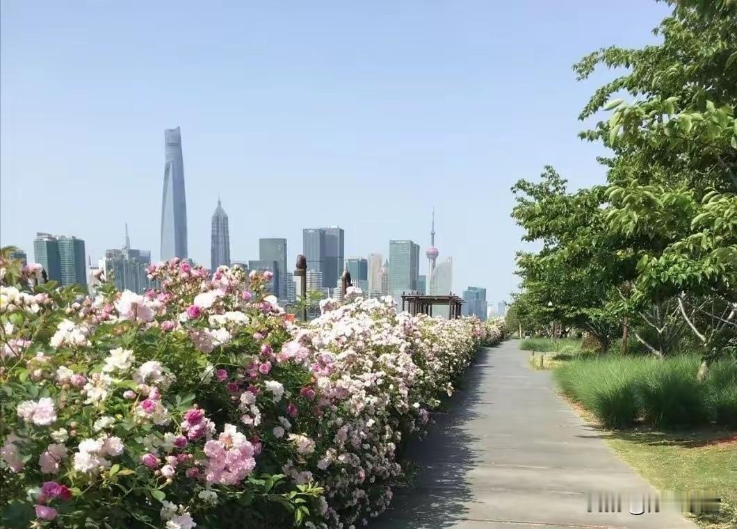 82岁的老母亲偷偷拿一万块钱给我，絮絮叨叨地说“终于攒够了，拿给俺外甥去，他在上