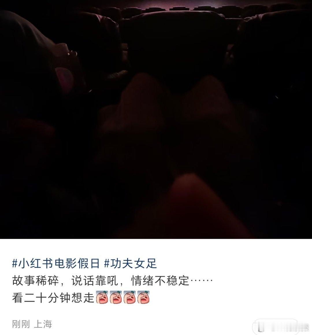 看了一些路人功夫女足观后感，普遍都在说故事稀碎，演技浮夸。看过的来说说，好看吗？