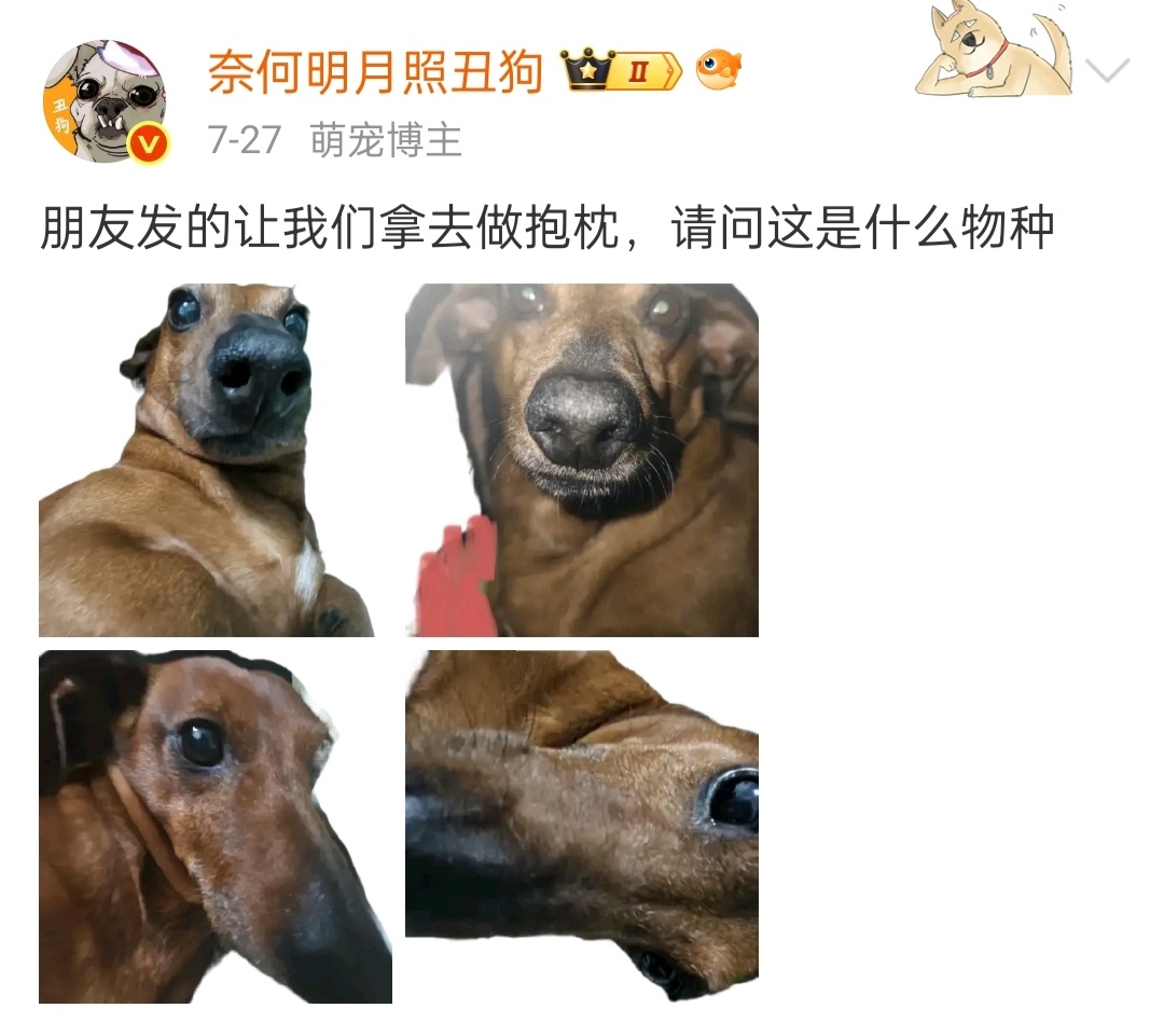 接上条:真给我发过来了我笑的好崩溃 