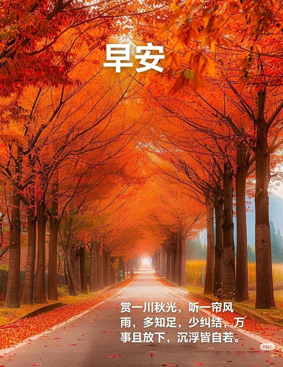 早安！今天是9月11日星期五。
男排亚锦赛1/4决赛，中国男排1-3不敌韩国止步