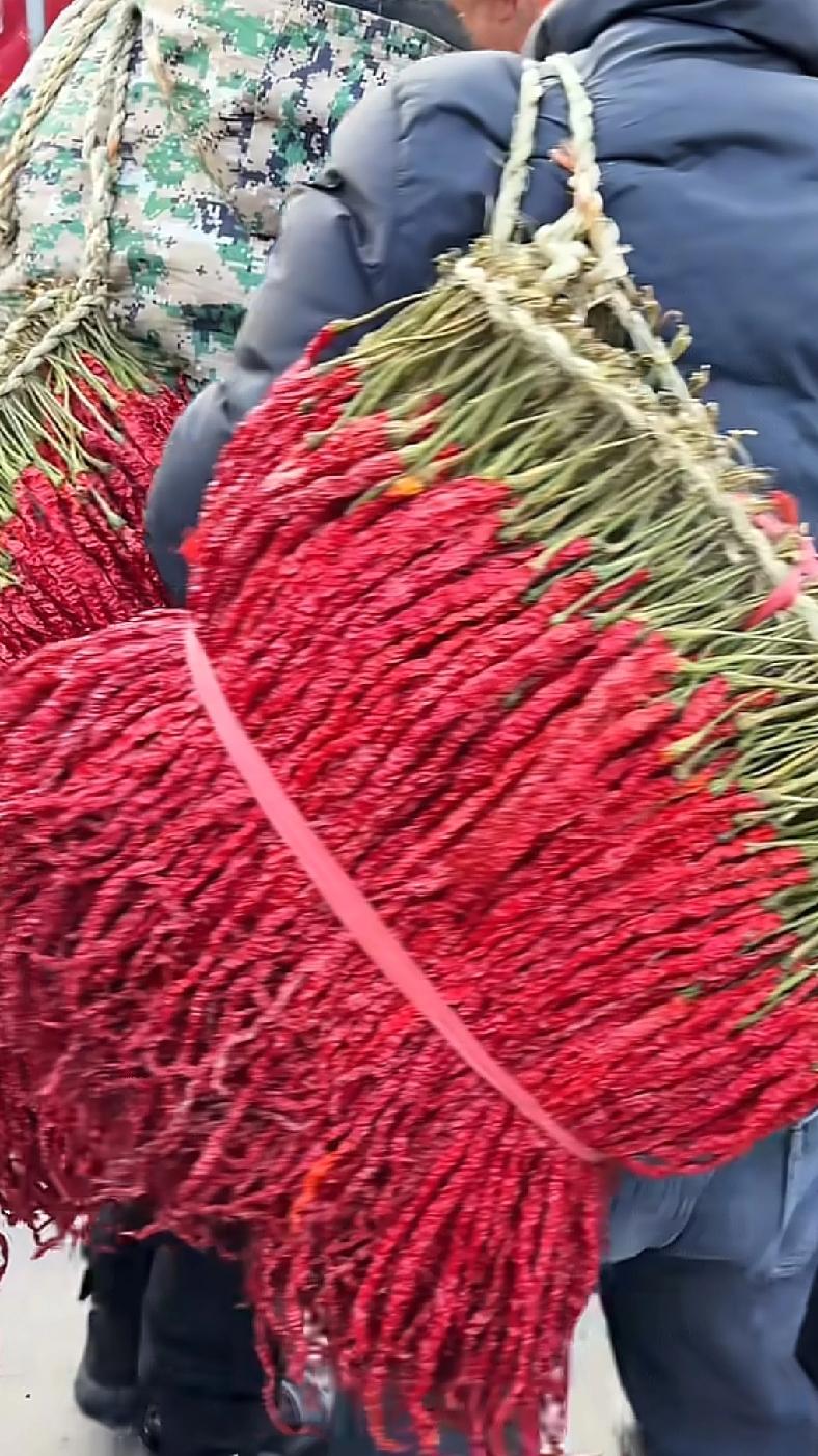 这样的辣椒只有贵州的本地吃货才懂
最近在贵州一家农村大集上来了很多销售辣椒的当地