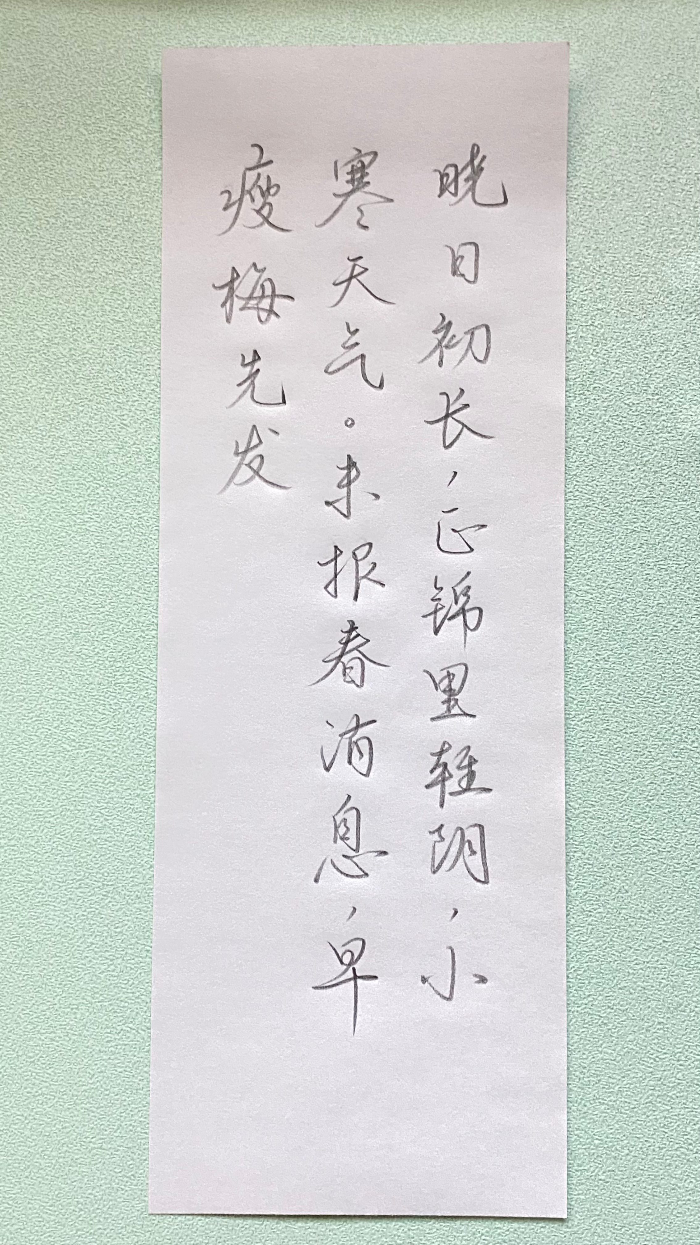 今日作业（2025.1.5）晓日初长，正锦里轻阴，小寒天气。未报春消息，早瘦梅先