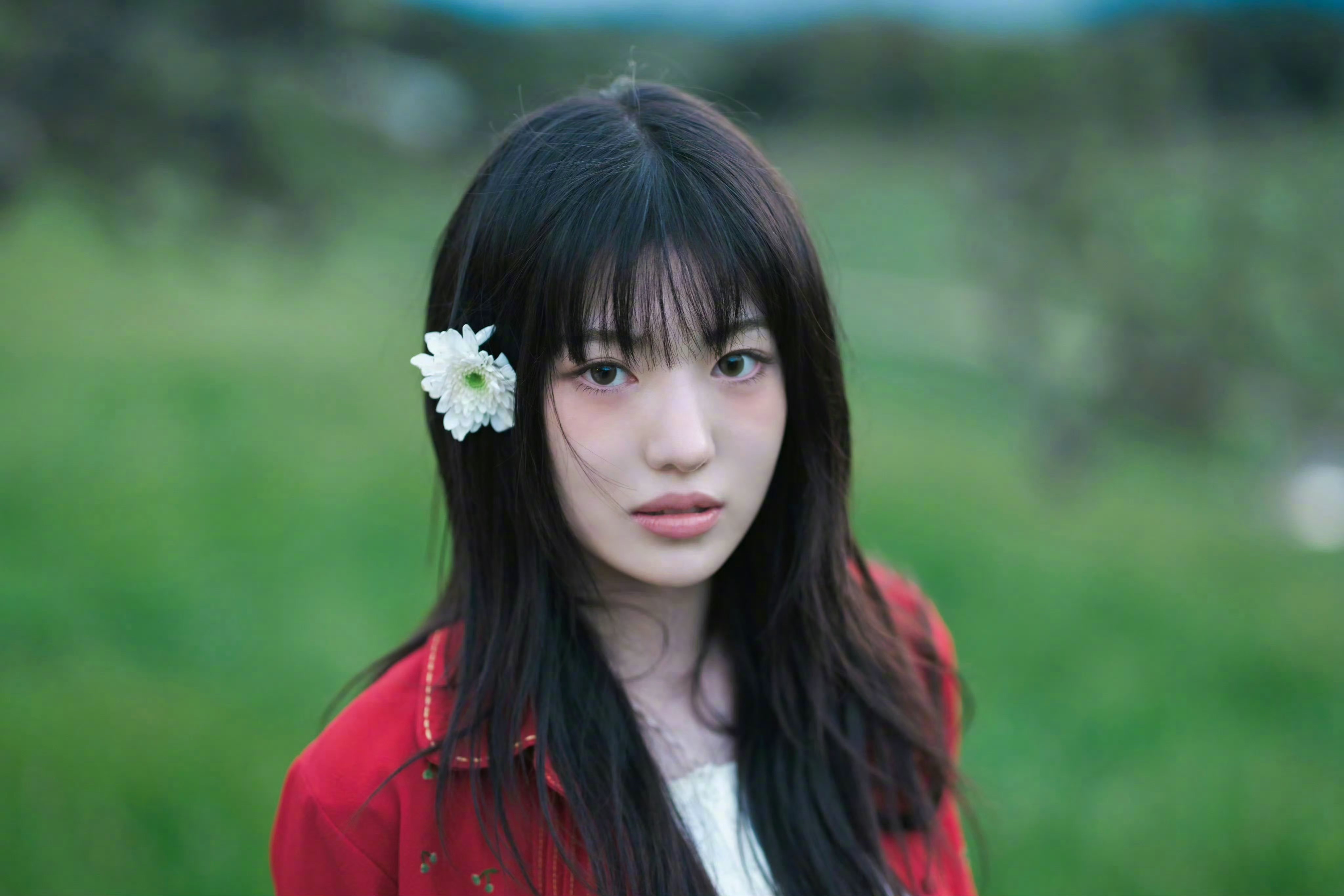 sui[超话] 🦩 果酱甜心sui 三月首尔的樱花开放微风吹拂让她如雨般落下她