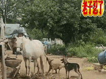 一脚定乾坤，
一脚，这个世界突然就安静了。