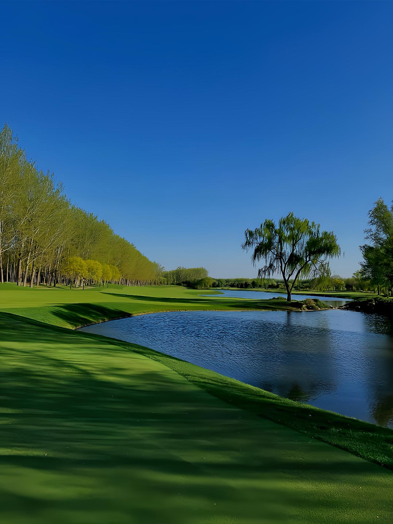 信仰是理性面对未来的内在力量！
没有信仰的理性，走不远；没有理性的信仰，飞不高。