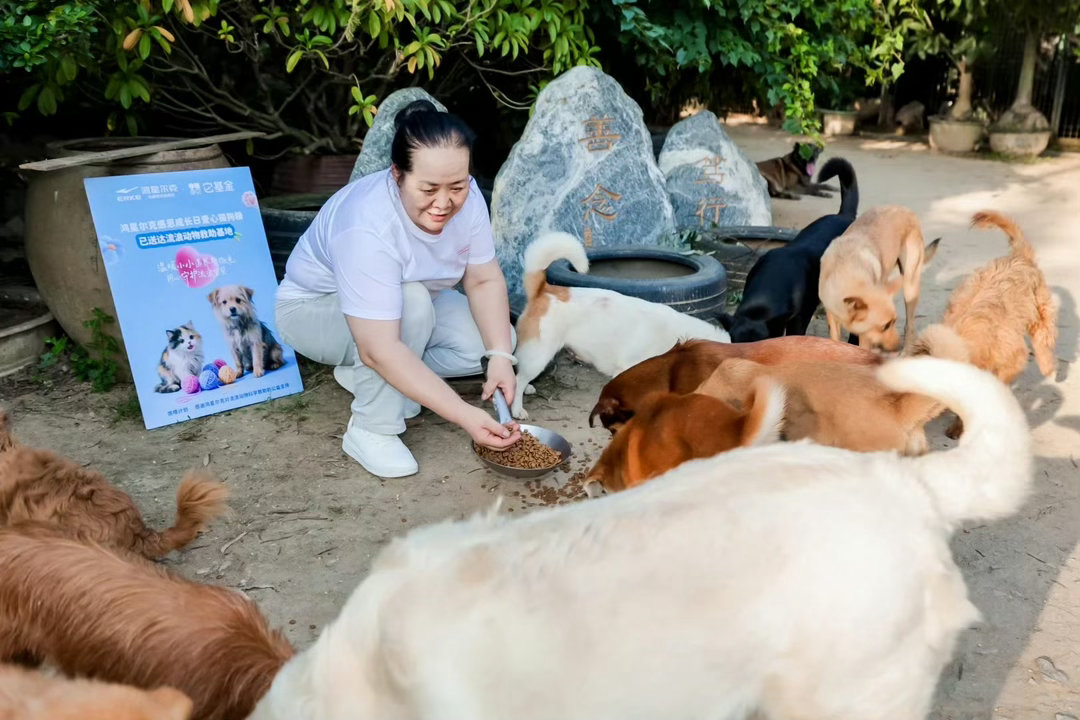 鸿星尔克店内收留流浪猫狗鸿星尔克官宣流浪猫狗守护计划从门店自发收留流浪小动物，到