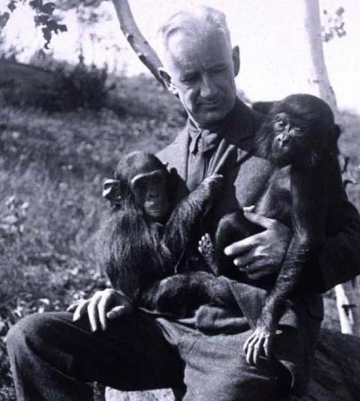 1920年，一俄裔医生突发奇想，将猴睾丸移植到74岁老人体内，术后，没想到这位老