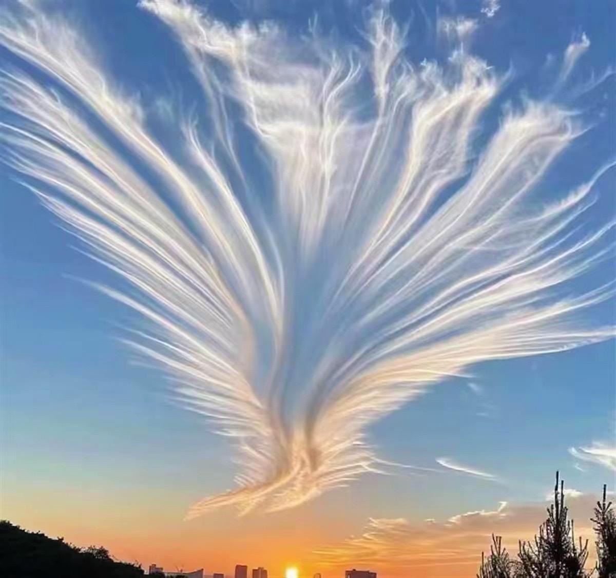 #上热门话题🔥🔥🔥 天空-凤舞九天！#七彩祥云有好运 #见者好运 #视觉冲