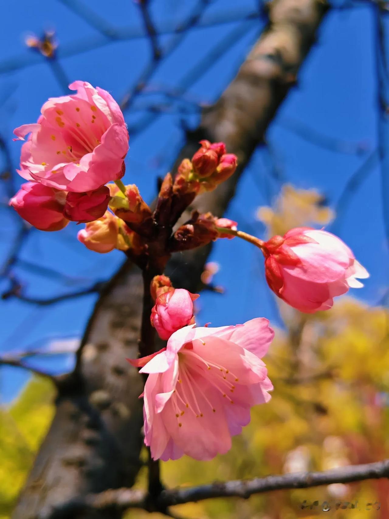 立夏，标示着万物进入旺季生长，取自立夏至、夏日临之意，此时告别暮春暖意，盛夏气息