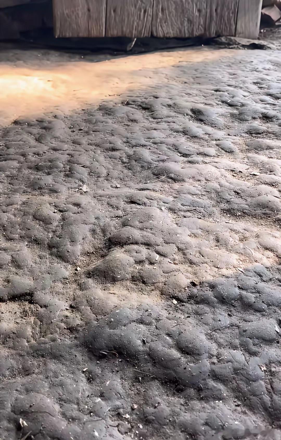 在家里这样的地面有多少人见过？ 