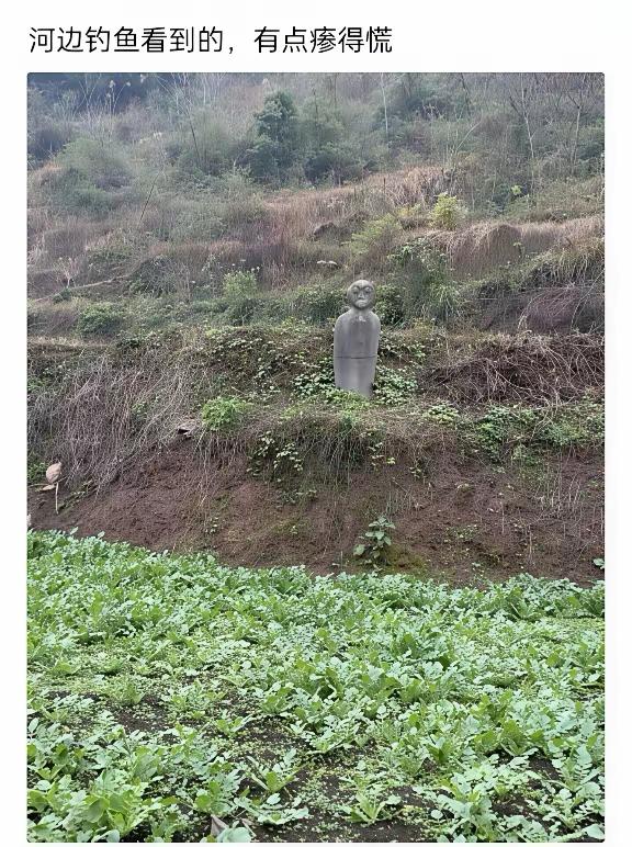 看到这个有点慌了